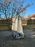 IMG_20241130_110730_601.jpg_compressed