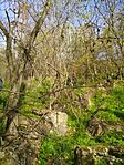 IMG_20241103_132732.jpg