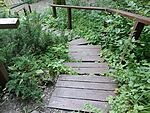IMG_20240617_181033214_MFNR