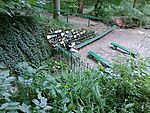 IMG_20240617_181044773_MFNR