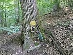 IMG_20240617_181119903_MFNR