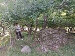 IMG_20240706_191217509_MFNR