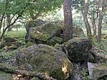 IMG_20240706_191339460_MFNR
