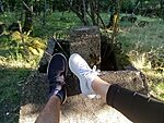 IMG_20240706_191450187_MFNR