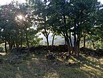 IMG_20240706_191516266_MFNR