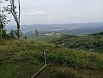 IMG_20240801_121315541_MFNR