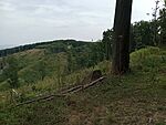 IMG_20240801_121332220_MFNR