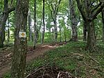 IMG_20240801_121845647_MFNR