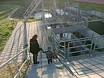 IMG_20241020_161238946_MFNR