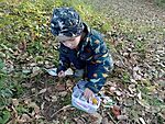 IMG_20241020_161934678_MFNR