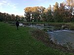 IMG_20241020_165055563_MFNR