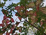 IMG_20241023_134400825_HDR