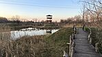 IMG_20241130_153929