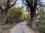 IMG_20241102_132821