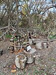 IMG_20241102_135214