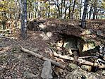 IMG_20241102_103337