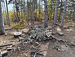 IMG_20241102_104013