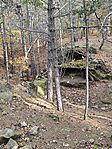IMG_20241102_104243
