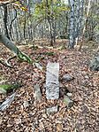 IMG_20241102_111800