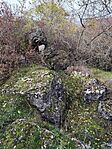 IMG_20241102_120448
