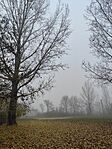 IMG_20241116_112124