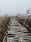 IMG_20241116_111709