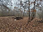 IMG_20241116_135502
