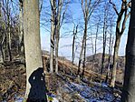 IMG_20241117_100831