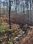 IMG_20241117_122452