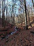 IMG_20241117_122850