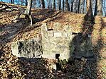 IMG_20241117_140309