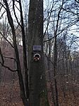 IMG_20241117_142249