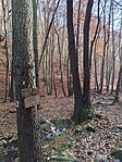 IMG_20241117_144350