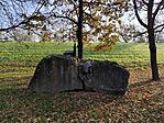 IMG_20241110_093614