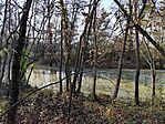 IMG_20241110_100428