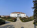 IMG_20241110_094855