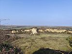 IMG_20241110_111614