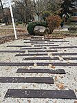 IMG_20241127_143438
