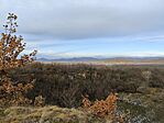 IMG_20241129_094048