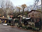 IMG_20241129_095952