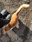 IMG_20241129_133539