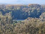 IMG_20241110_084741