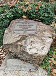 IMG_20241124_124505
