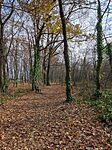 IMG_20241124_132704