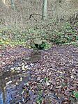 IMG_20241130_143730