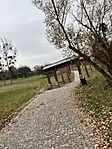 IMG_6207