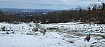 IMG_20241124_123548