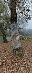 IMG_20241110_144433