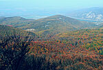 IMG_8792_1
