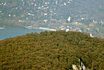 IMG_8803_1
